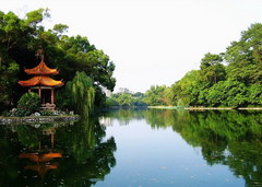 相思湖图片