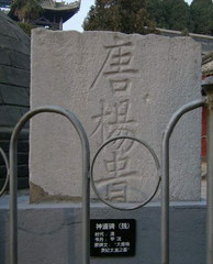 杨贵妃墓图片