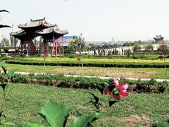 毓秀桥图片