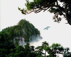 卦台山图片
