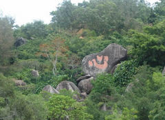东山岭风景区图片