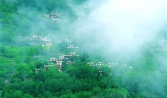 潮音庵图片