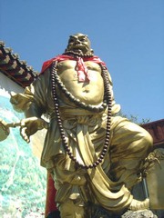 普化寺图片
