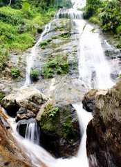 百花岭旅游风景区图片