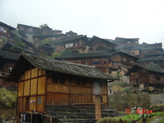 DSC02398