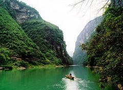 shennong3