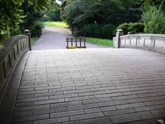 东京代代木公园 代代木公园2