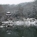 爱晚亭