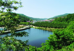 大长山岛图片