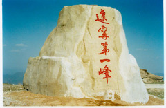老秃顶图片