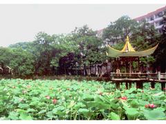 中南大学图片