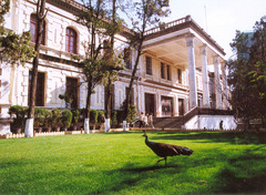 云南大学图片