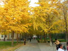 北京科技大学图片