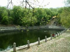 龙潭山公园图片