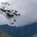 苍山