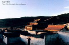 佑宁寺图片