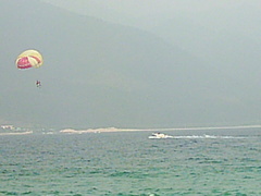 海口公园图片