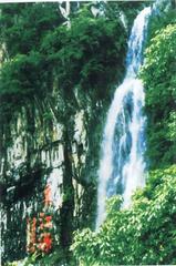 三百山图片