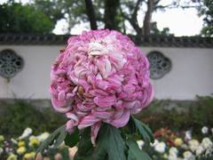 福州西湖公园 福州西湖公园2