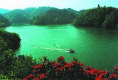 杜鹃湖图片