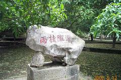 满陇桂雨图片