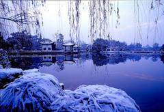 断桥残雪