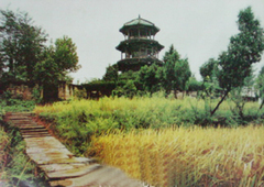 圣寿寺图片