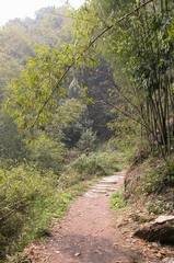 缙云后山2