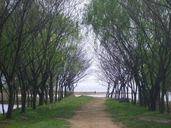 骆马湖图片