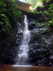 大桂山国家森林公园图片
