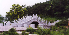 茶山图片
