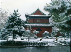 月坛公园图片