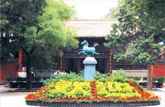 武威文庙图片