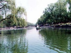 青年湖公园图片
