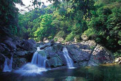 十万大山国家森林公园图片