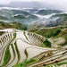 龙脊梯田