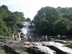 武平梁野山图片