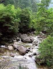 溪源峡谷图片