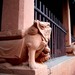 河南 郑州 法王寺