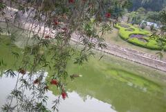 景山公园图片