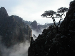 西海 2005630153238463