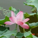 锦园宾馆