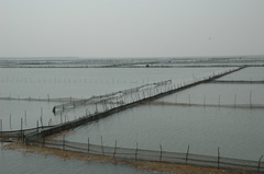 洪泽湖图片