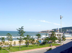 国际海水浴场图片
