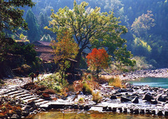 林坑古村图片