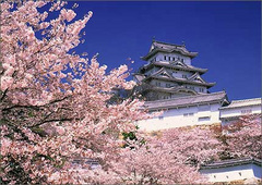 高山阵屋 