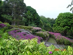 花芭山 