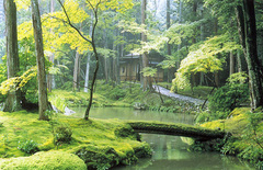 西芳寺 