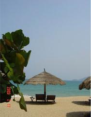 芽庄海湾图片
