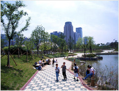 汝矣岛公园图片